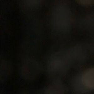 Meet your Posher, Luis